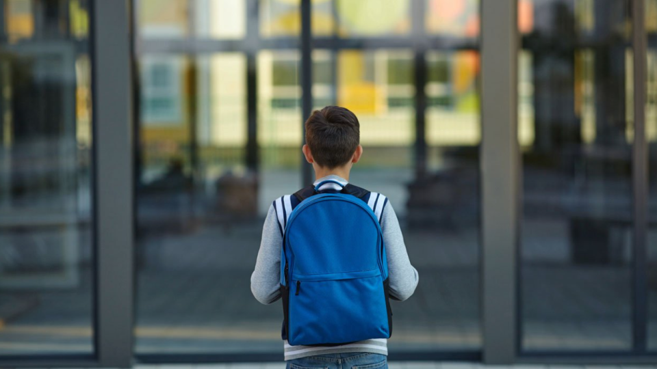 На Волині суд оштрафував матір, син якої не ходив в ліцей 24 дні