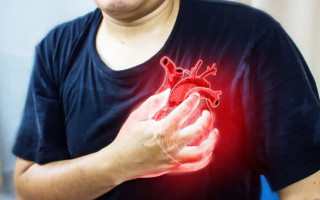 В США ученые создали необычный пластырь для предотвращения инфарктов