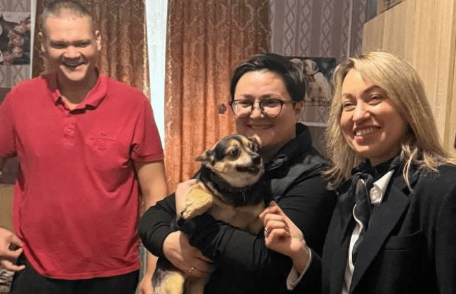 Уряд готує єдині правила перебування тварин у місцях тимчасового проживання ВПО