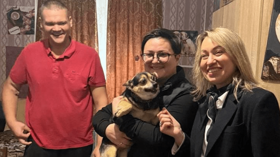 Уряд готує єдині правила перебування тварин у місцях тимчасового проживання ВПО