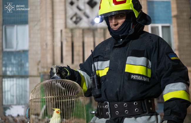У Тернополі рятувальники знайшли папугу серед руїн зруйнованої багатоповерхівки: відео