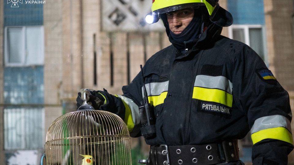 У Тернополі рятувальники знайшли папугу серед руїн зруйнованої багатоповерхівки: відео