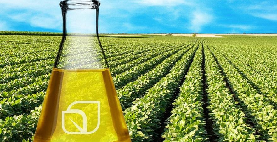 Правительство одобрило новый техрегламент для биотоплива – что изменится для рынка Украины