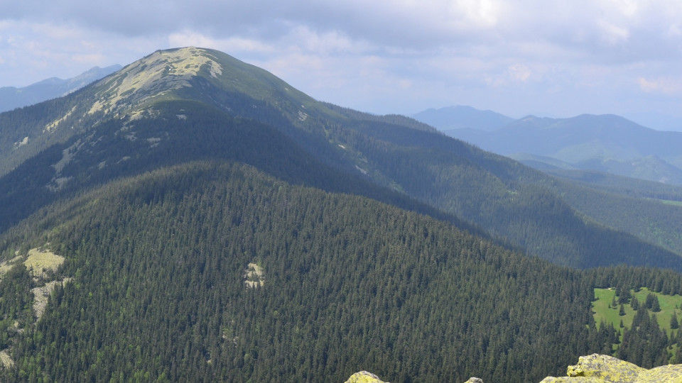 Ущерб более чем на 20 млн гривен: дельцы хотели вывести из госсобственности 6 гектаров леса под Буковелем