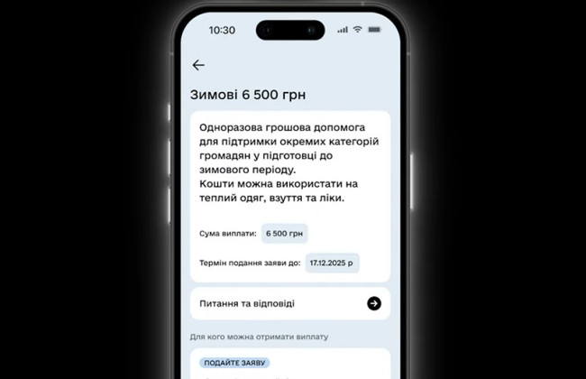 Як подати заявку на отримання 6500 грн Зимової підтримки — відеоінструкція