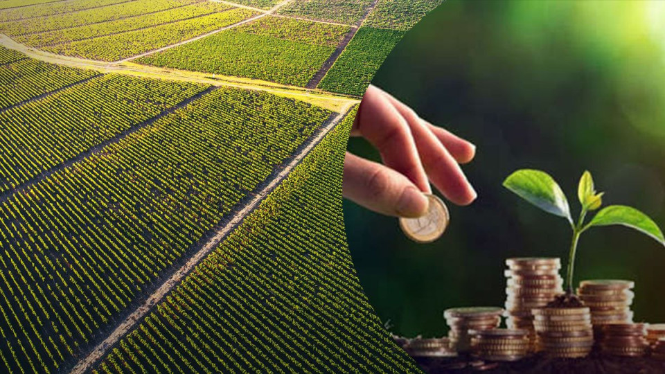 Хто сплачує земельний податок, якщо ділянка оформлена на дитину — роз’яснення