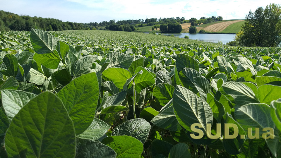 Кабмин предлагает Раде упростить изменение целевого назначения земли — детали законопроекта