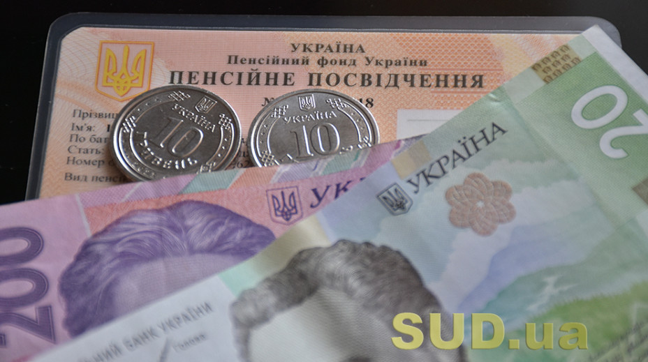 Пенсионерам объяснили, как пройти идентификацию через зарубежные дипломатические учреждения