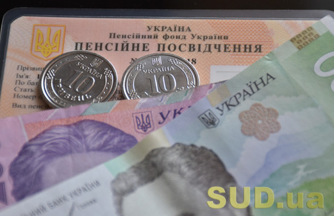 Пенсионерам объяснили, как пройти идентификацию через зарубежные дипломатические учреждения