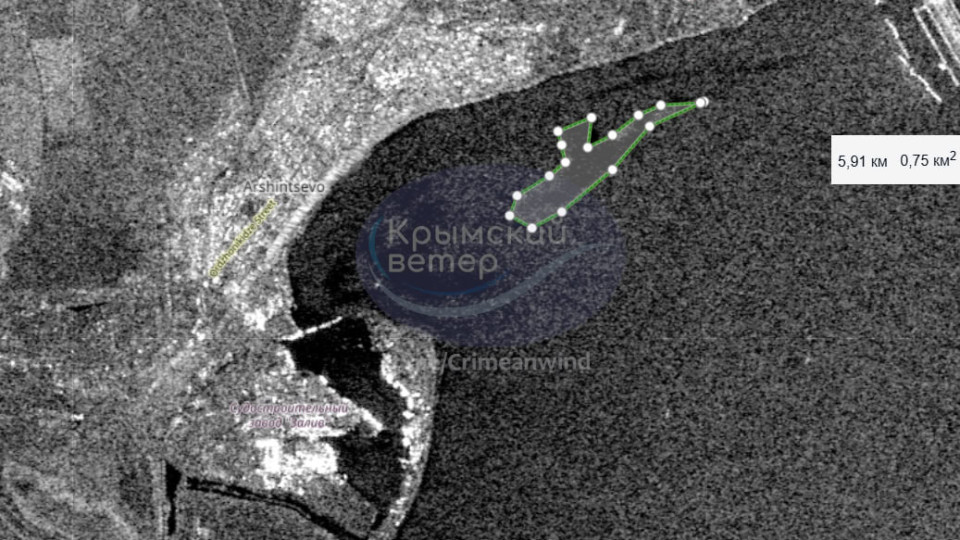 Мазутні плями з’явилися в Керченській протоці – є перші жертви серед птахів