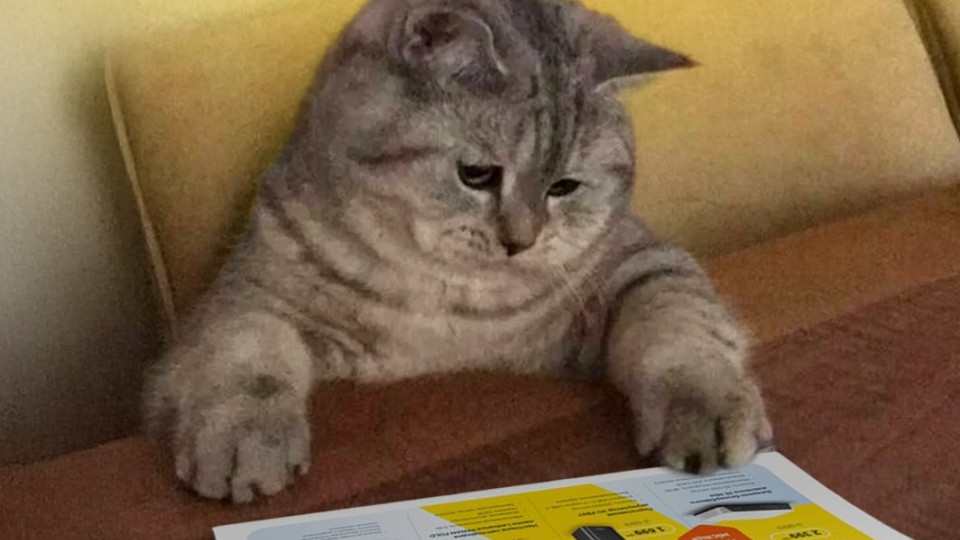 Почему во время отключения суммы в платежках за свет не уменьшаются – в YASNO объяснили