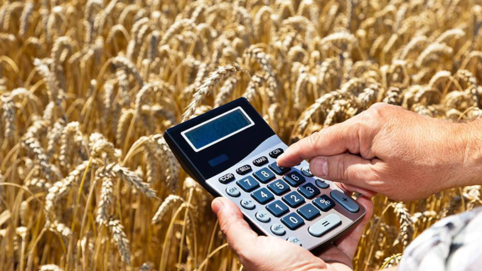 Коли агропідприємство переводять на загальну систему — повний перелік причин анулювання 4-ї групи ЄП